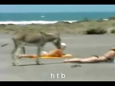 Поліцейський ловить шикарного злочинця і трахає її на задньому мама з сином секс дворі
